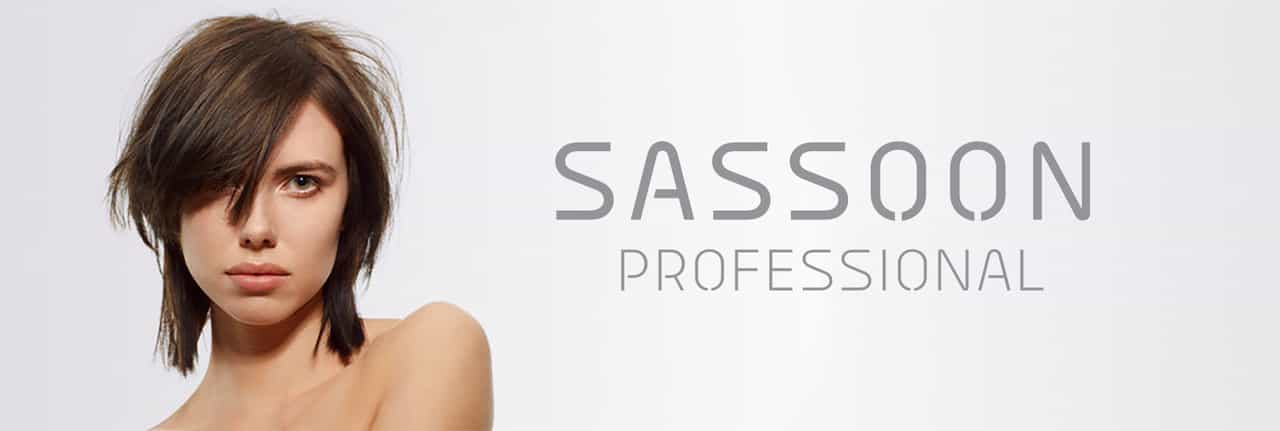 Sassoon Professional hair colour, styling, care products for salon professionals and get ready to transform your client’s hair ​