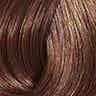 COLOR TOUCH Deep Browns 6/73