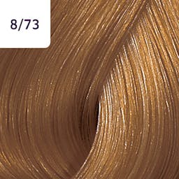 COLOR TOUCH Deep Browns 8/73