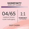 Shinefinity Deep Cherry 04/65 60ML